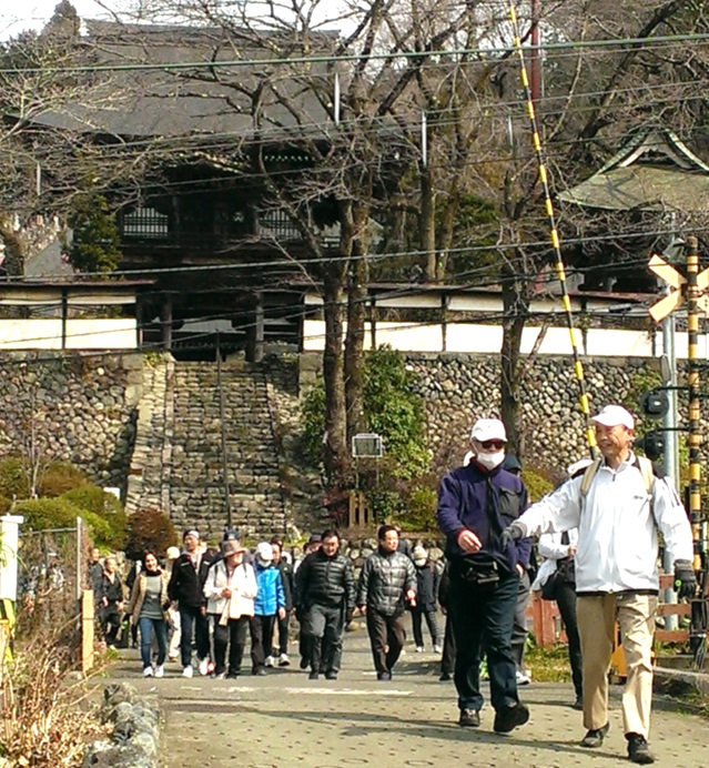 ハイキング風景